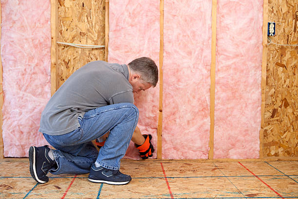 Best Affordable Insulation Services  in Purvis, MS