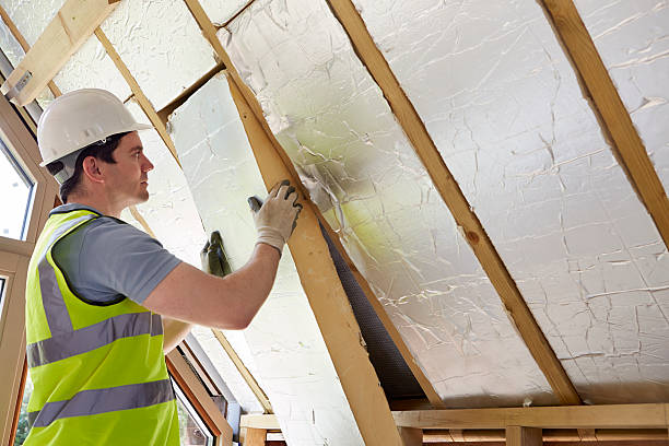 Best Insulation for New Construction  in Purvis, MS