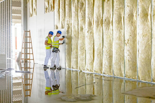 Best Local Insulation Services  in Purvis, MS